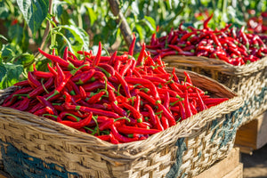 The Fiery Journey of Ground Cayenne Pepper: From Farm Fields to Flavor Bomb