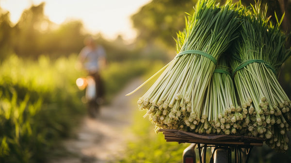 Dried & Chopped Lemongrass: A Global Flavor with Local Roots
