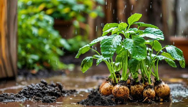 Horseradish: The Bold Root with a Fiery Legacy