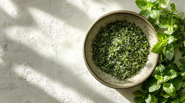 Marjoram: A Gentle Herb with Bold Traditions