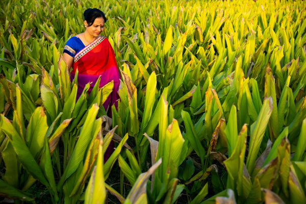 Across the Spice Map of India: Curries, Regions, and the Flavor Within