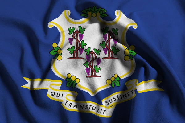 A Pinch of America: Thyme and the Quiet Resilience of Connecticut