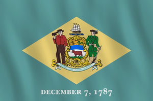 A Pinch of America: Celery Seed and the Grit of Delaware