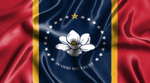 A Taste of America: Onion Powder Is The Soulful Spice of Mississippi