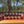 Master Chef Mega Pack