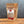 Ground Saigon Cinnamon