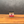 Mustard Powder