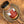 Mustard Seed