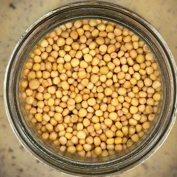 Mustard Seed