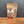 A stand-up kraft paper pouch of Tradition Spice Company Celery Salt, Granulated, standing on a wooden surface against a dark gray background.