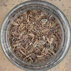 A top view of Tradition Spice Company's Whole Dill Seed in a glass jar reveals brown, oval seeds with fine ridges pressed against the glass—ideal for classic pickling.