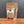 A stand-up kraft paper pouch of Tradition Spice Company Marjoram Dried Leaf, standing on a wooden surface against a dark gray background.