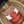 A close-up of a spice jar labeled 'Turkish Spice' by Tradition Spice Company, placed inside a metal bowl. The label is red, white, and beige, and the spice blend inside the clear jar is visible.