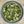 A close-up, top-down view of a glass jar filled with Dream Dill, Da Best! Dill Dip & Dressing Mix, showcasing green, leafy herbs and visible seasoning pieces.