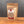 A brown resealable pouch labeled Granulated Garlic Salt rests on a wooden surface, displaying details and ingredients on the front.