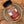A glass jar of Tradition Spice Company Honey Habanero Dry Rub Seasoning with a black lid, resting on a rustic ceramic plate over a wood grain background.