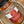 A close-up of a spice rub seasoning bottle labeled 'Memphis Style Ribs Dry Rub Seasoning' by Tradition Spice Company, placed inside a ceramic dish.