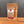 A stand-up pouch of Tradition Spice Company Memphis Style Ribs Dry Rub Seasoning standing on a wooden surface against a dark gray background.