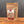 A stand-up pouch of Tradition Spice Company Austin Steak Dry Rub Seasoning, featuring a kraft paper design with a clear window showing the seasoning blend inside, set on a wooden surface against a dark gray background.