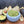 The Guac Me Up! Guacamole Maker’s Kit sits on a wooden surface, filled with creamy guacamole and surrounded by tortilla chips and halved avocados, with more chips scattered across a gray background for a tempting snack scene.