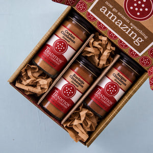 Three Shades of Cinnamon gift box containing Ceylon, Korintje, and Saigon ground cinnamon jars.